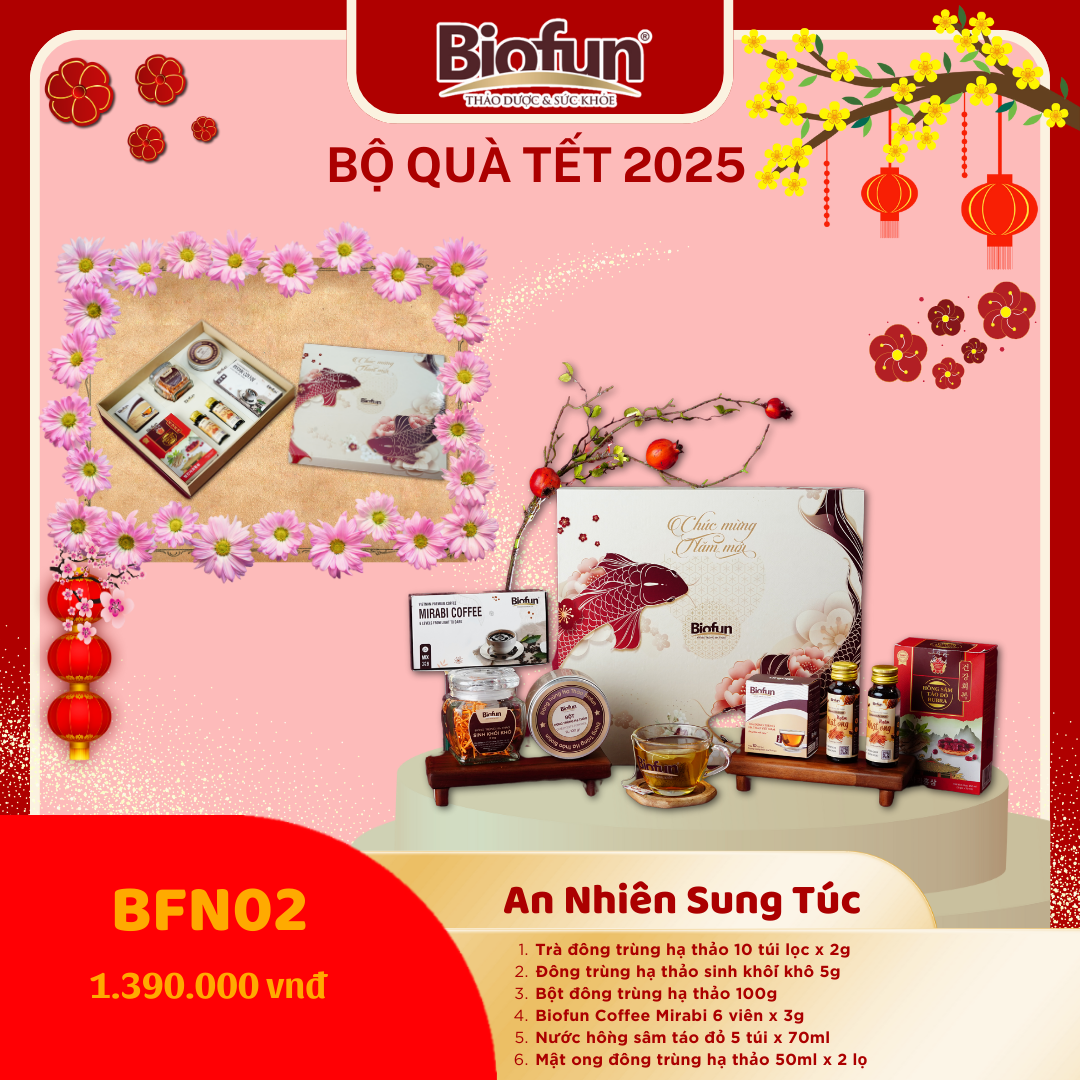 Bộ Quà Tặng Tết 2025 - An Nhiên Sung Túc BFN02